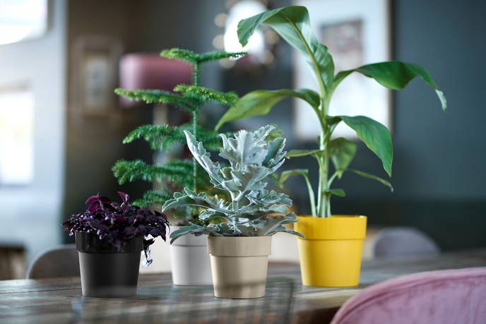 b.for original rund mini 13cm living schwarz